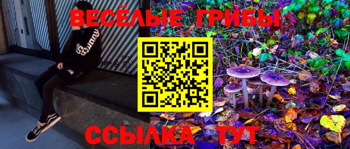 Псилоцибиновые грибы Psilocybine cubensis Нерюнгри