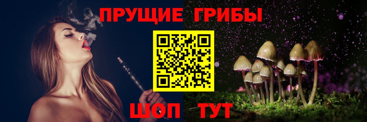 Нерюнгри  Псилоцибиновые грибы Cubensis  Вход с VPN  Галлюциногенные грибы мухоморы 